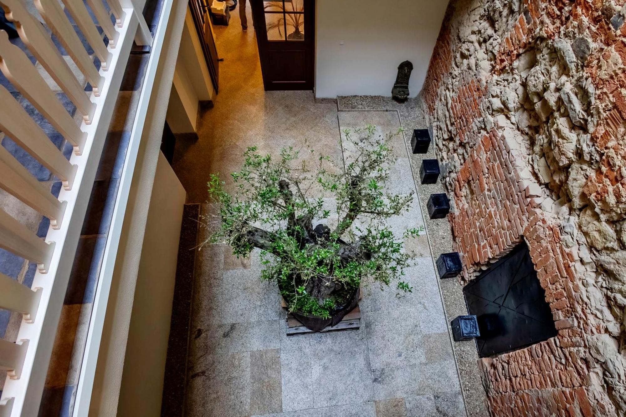 Lubartowska 19 Apartamenty Lublin Eksteriør billede